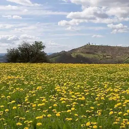 Gite Au Calme Avec Superbe Vue : La Talonie Mouret Buitenkant foto