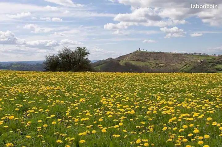 Holiday home Au Calme Avec Superbe Vue : La Talonie *